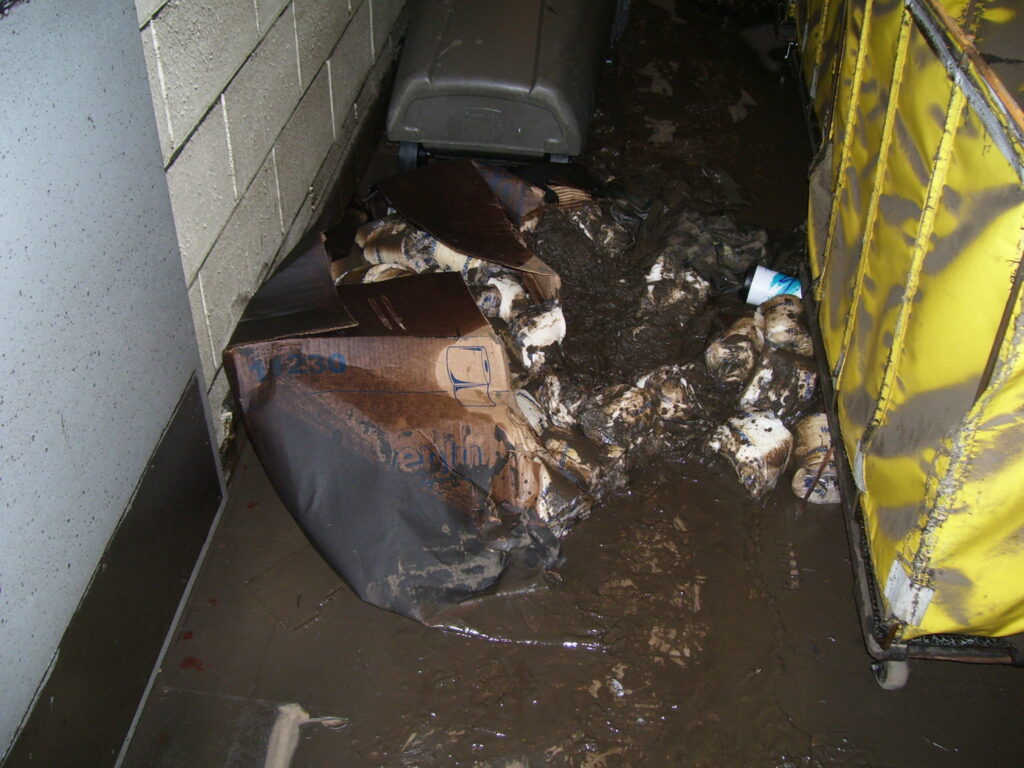 Sewage Cleanup in Windermere, Florida (9854)