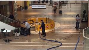 Commercial Flood Damage Cleanup in Palm Shores, Florida (5985)