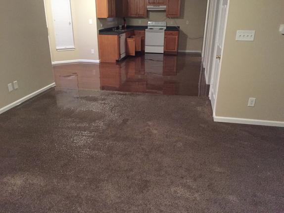 Water Damage Cleanup in Bithlo, Florida (4570)